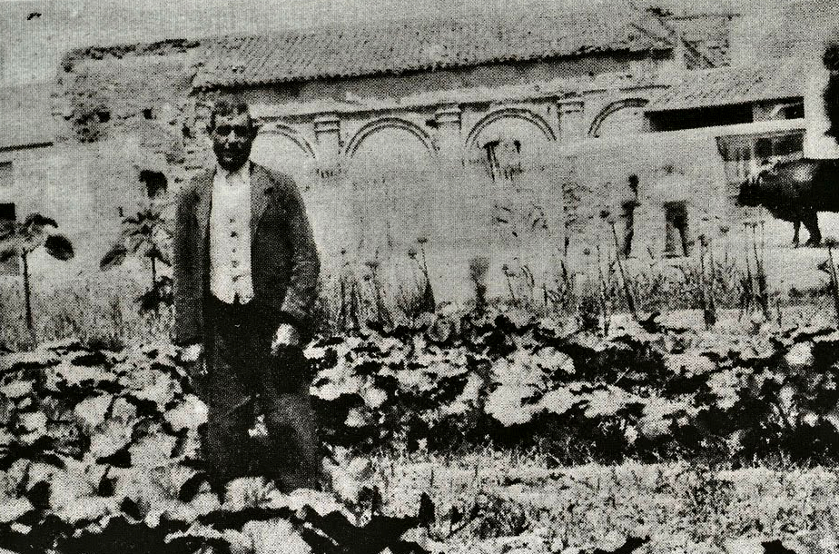 (Almoradí)_Convento de San Francisco de Paula