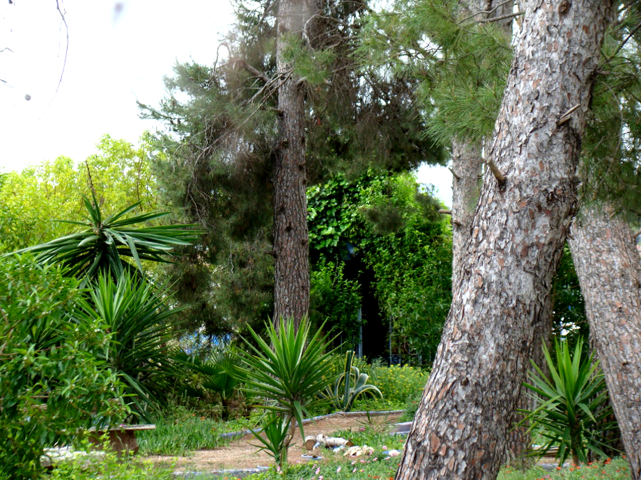 (Las Norias)_Capilla de la Virgen de Lourdes